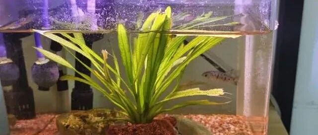 Ozon佣金涨了！家人们，钱包准备好了吗？-跨境直通