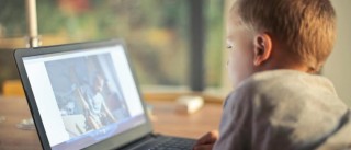 亚马逊新手卖家14个避坑指南   