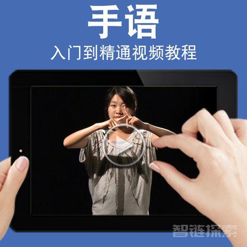  中国手语培训教程【视频】【课程】
