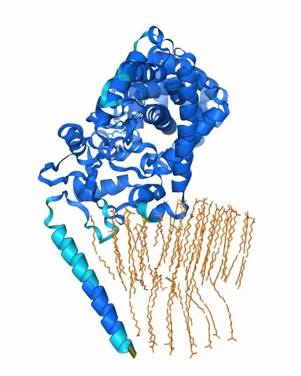 AlphaFold 3轻松应对核酸、脂类分子？科学家迫不及待地更新了评测