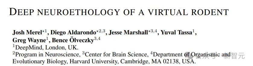 哈佛DeepMind开辟「虚拟神经科学」新领域！在世界模拟器驯养「赛博老鼠」