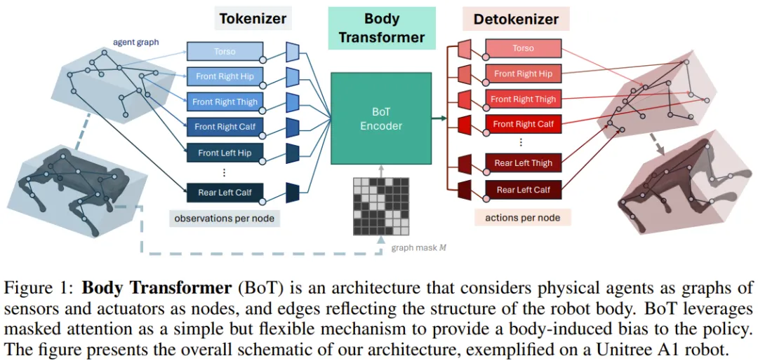 机器人策略学习的Game Changer？伯克利提出Body Transformer