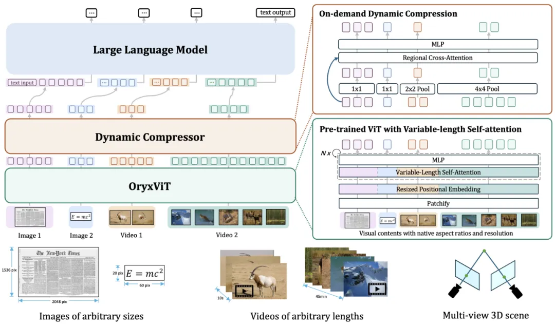 长短大小样样精通！原始分辨率、超长视频输入：更灵活的全开源多模态架构Oryx
