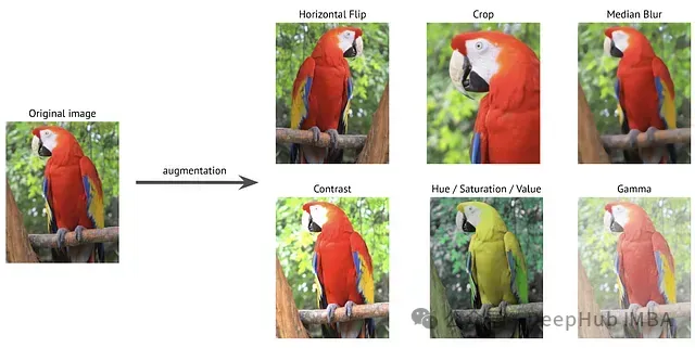 图像数据增强库综述：十个强大图像增强工具对比与分析