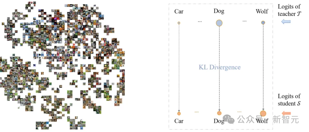 超越KL！大连理工发布Wasserstein距离知识蒸馏新方法｜NeurIPS 2024