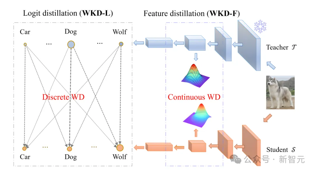 超越KL！大连理工发布Wasserstein距离知识蒸馏新方法｜NeurIPS 2024