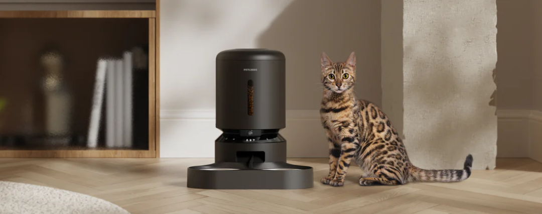 年入破亿!深圳跨境大佬竟靠智能喂食器做到头部品牌