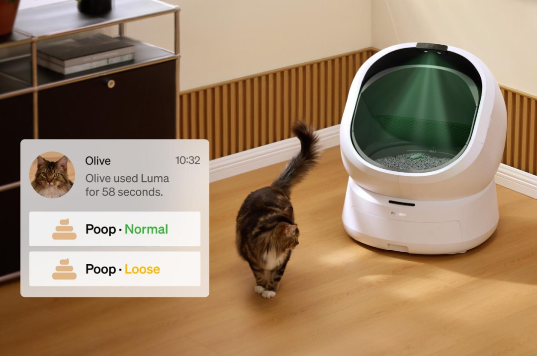 年入破亿!深圳跨境大佬竟靠智能喂食器做到头部品牌