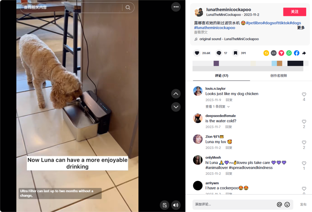 年入破亿!深圳跨境大佬竟靠智能喂食器做到头部品牌